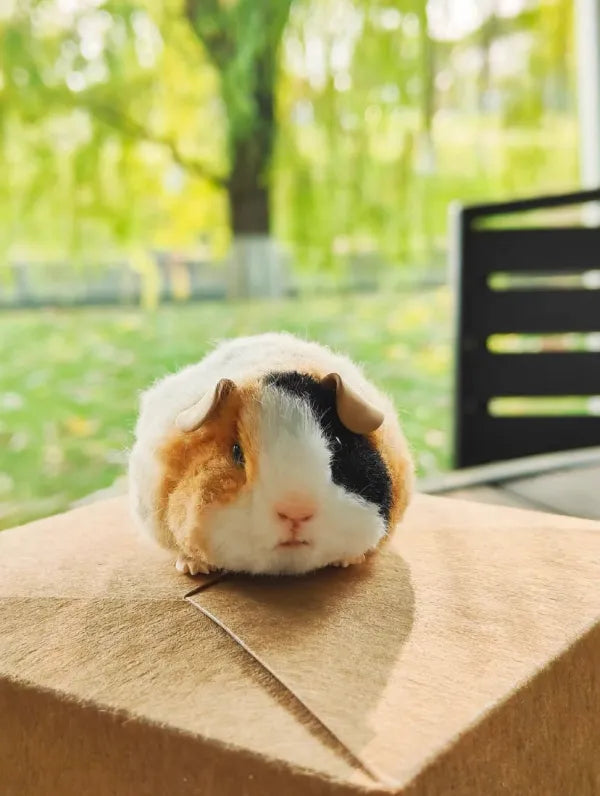 Handcraft Pipe Cleaner Toy Guinea Pig
