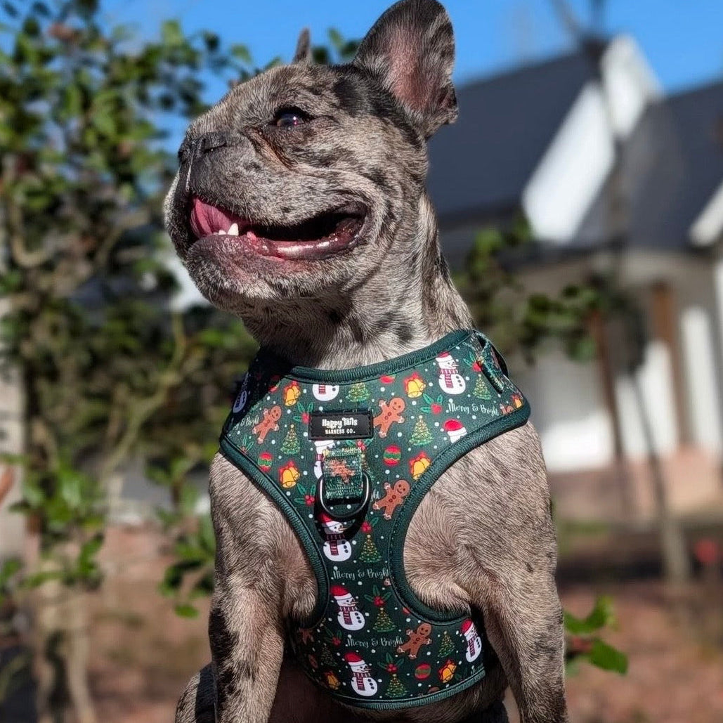 Merry & Bright Adjustable Harness