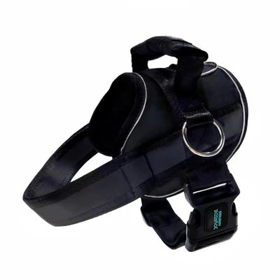 Joyride Premium Advanced Dog Harness 2.0