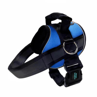 Joyride Premium Advanced Dog Harness 2.0