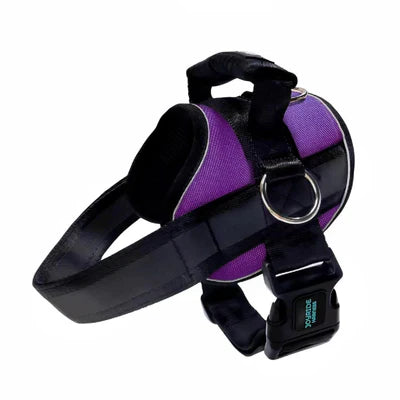 Joyride Premium Advanced Dog Harness 2.0