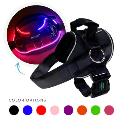 NightSafe LED Light Up Dog Harness 2.0