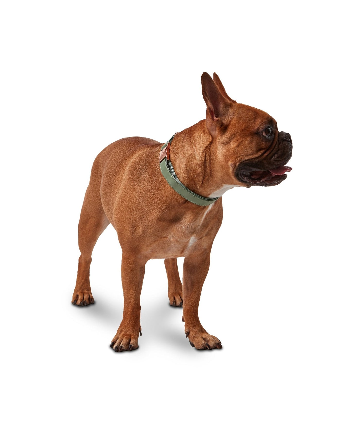 Vegan Leather Collar - Sage Green