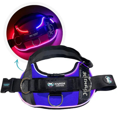 NightSafe LED Light Up Dog Harness 2.0