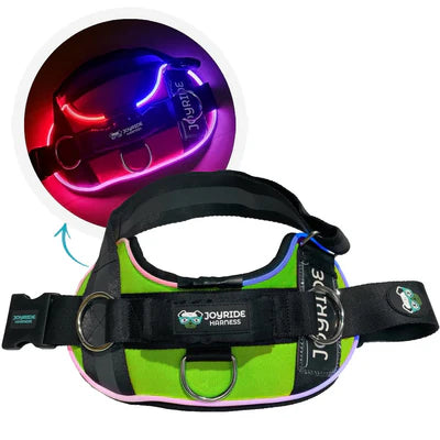 NightSafe LED Light Up Dog Harness 2.0