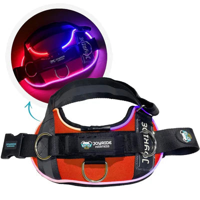 NightSafe LED Light Up Dog Harness 2.0