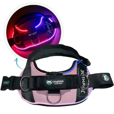 NightSafe LED Light Up Dog Harness 2.0