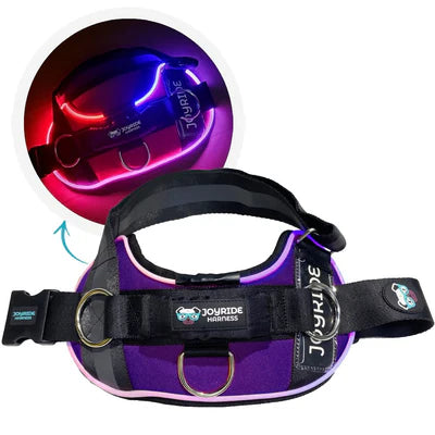 NightSafe LED Light Up Dog Harness 2.0