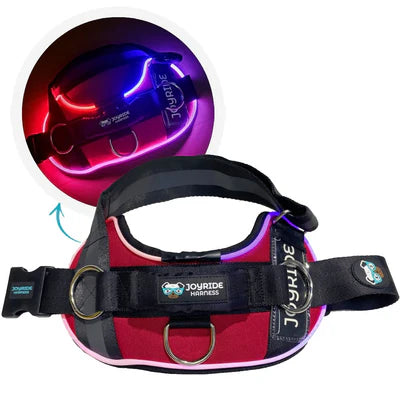NightSafe LED Light Up Dog Harness 2.0