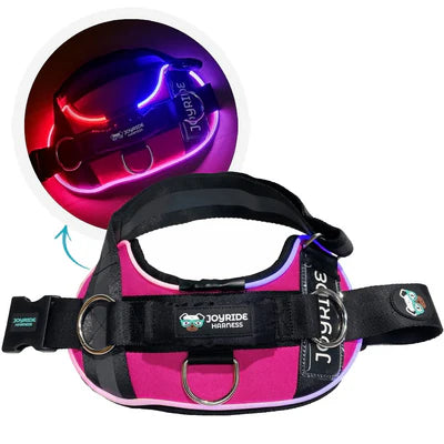 NightSafe LED Light Up Dog Harness 2.0