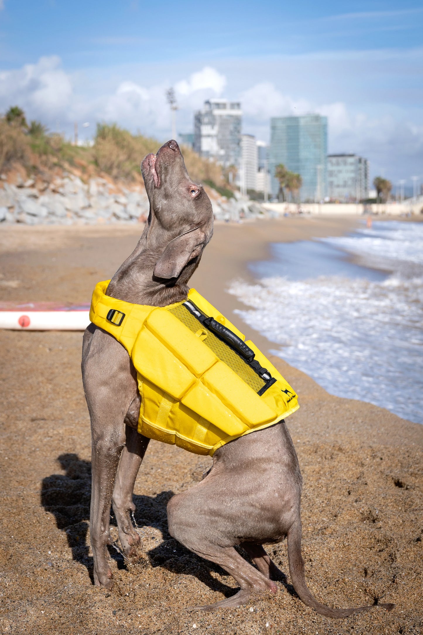 Human Standards Dog Lifejacket Design with 4x Foam for Maximum Buoyancy, Stability & Comfort - Yellow