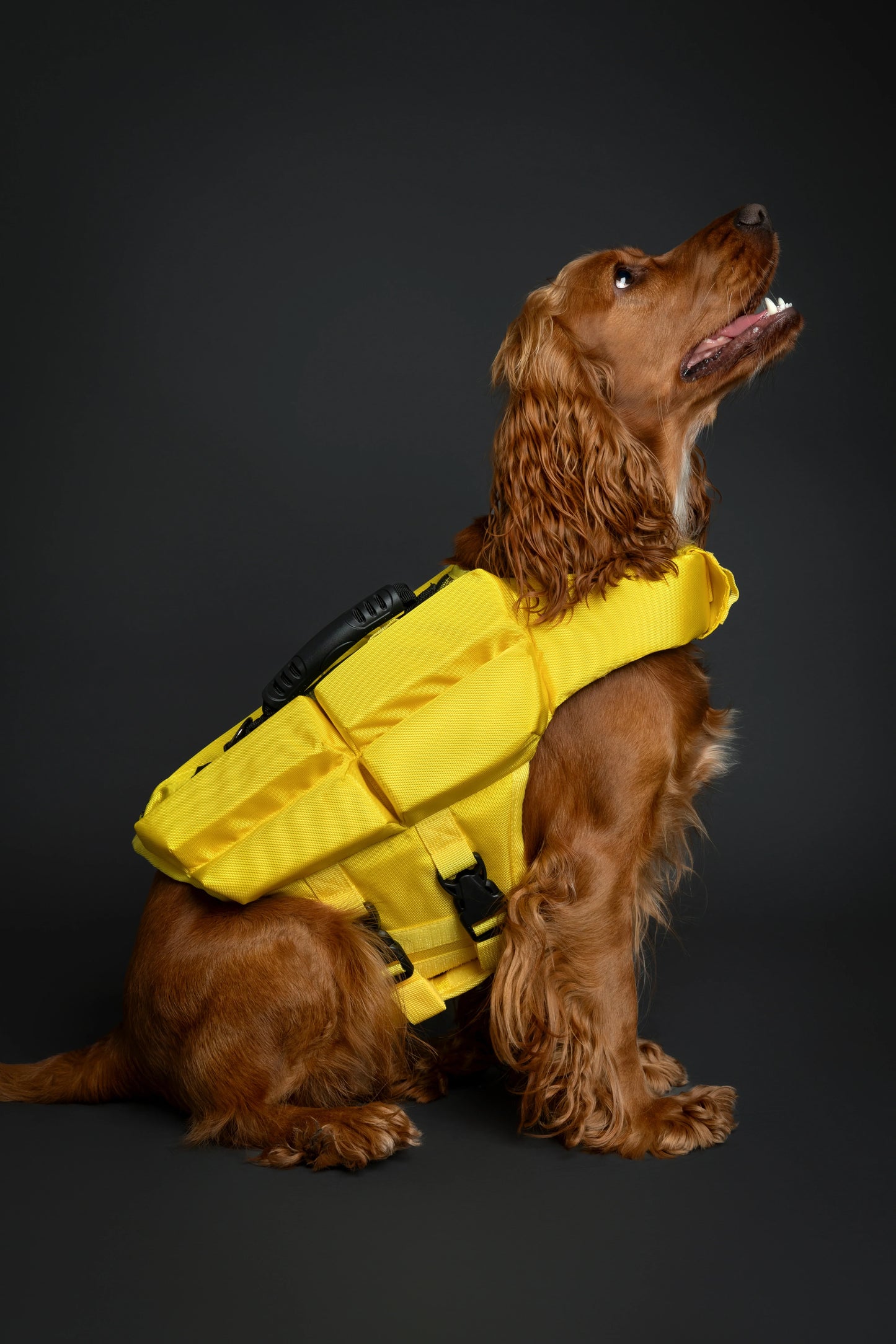 Human Standards Dog Lifejacket Design with 4x Foam for Maximum Buoyancy, Stability & Comfort - Yellow