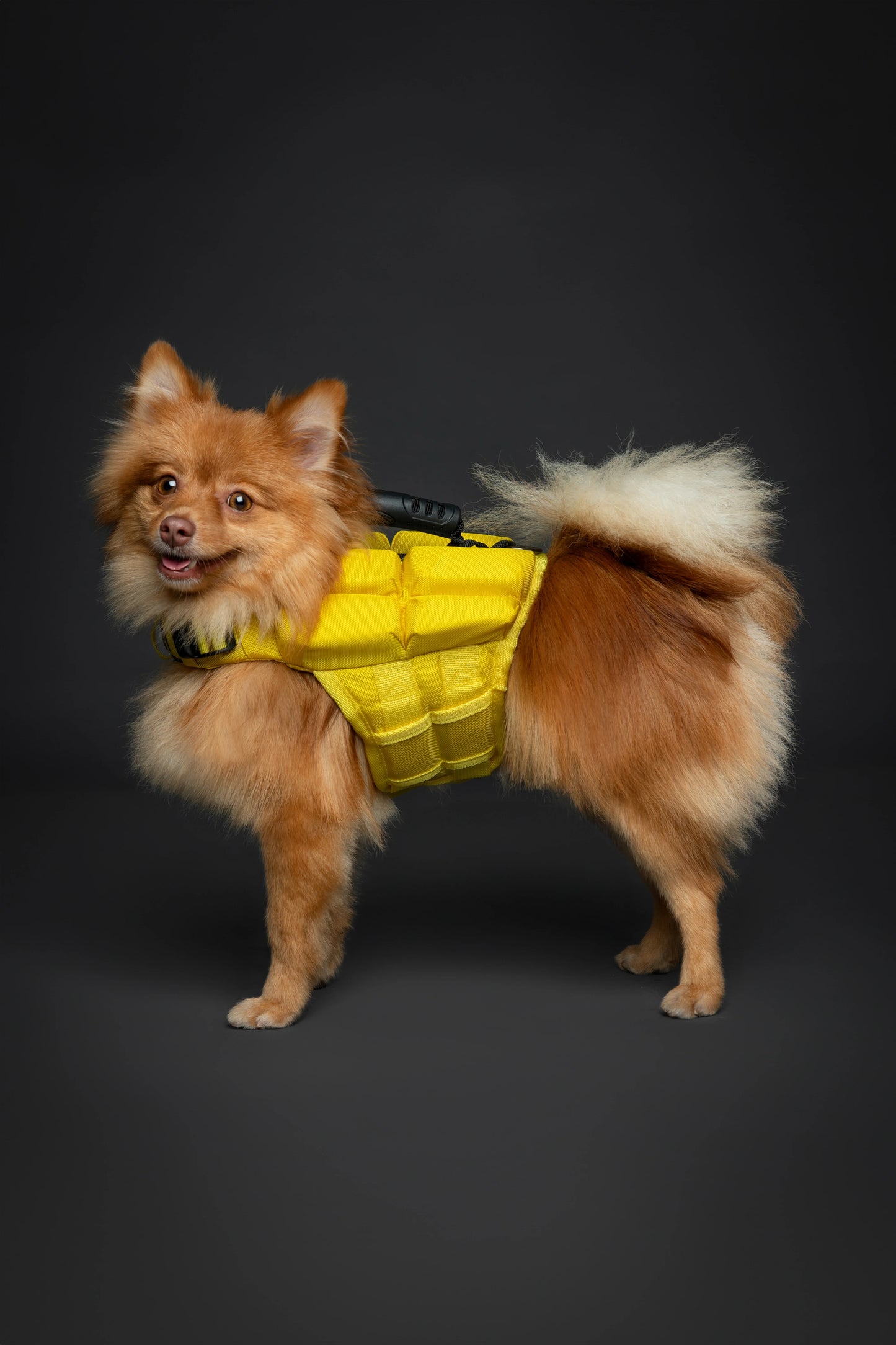 Human Standards Dog Lifejacket Design with 4x Foam for Maximum Buoyancy, Stability & Comfort - Yellow