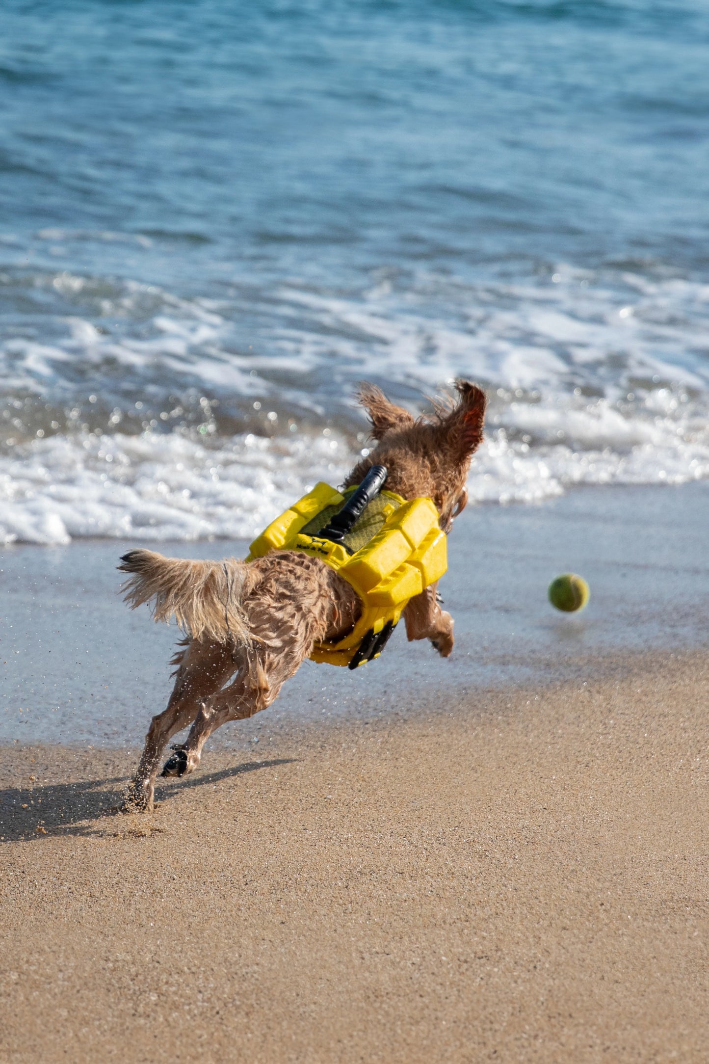 Human Standards Dog Lifejacket Design with 4x Foam for Maximum Buoyancy, Stability & Comfort - Yellow