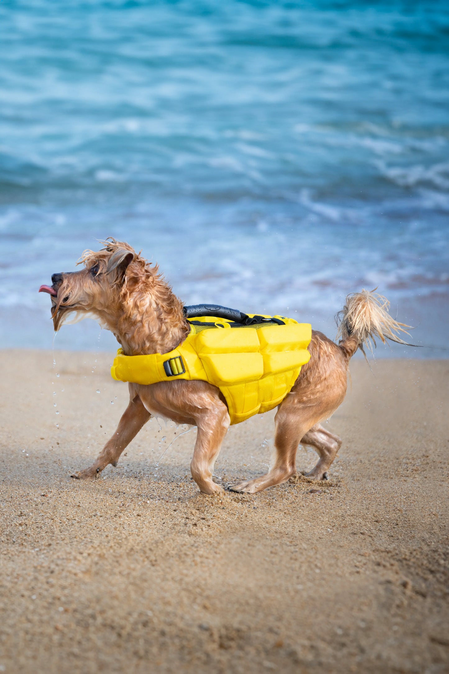 Human Standards Dog Lifejacket Design with 4x Foam for Maximum Buoyancy, Stability & Comfort - Yellow