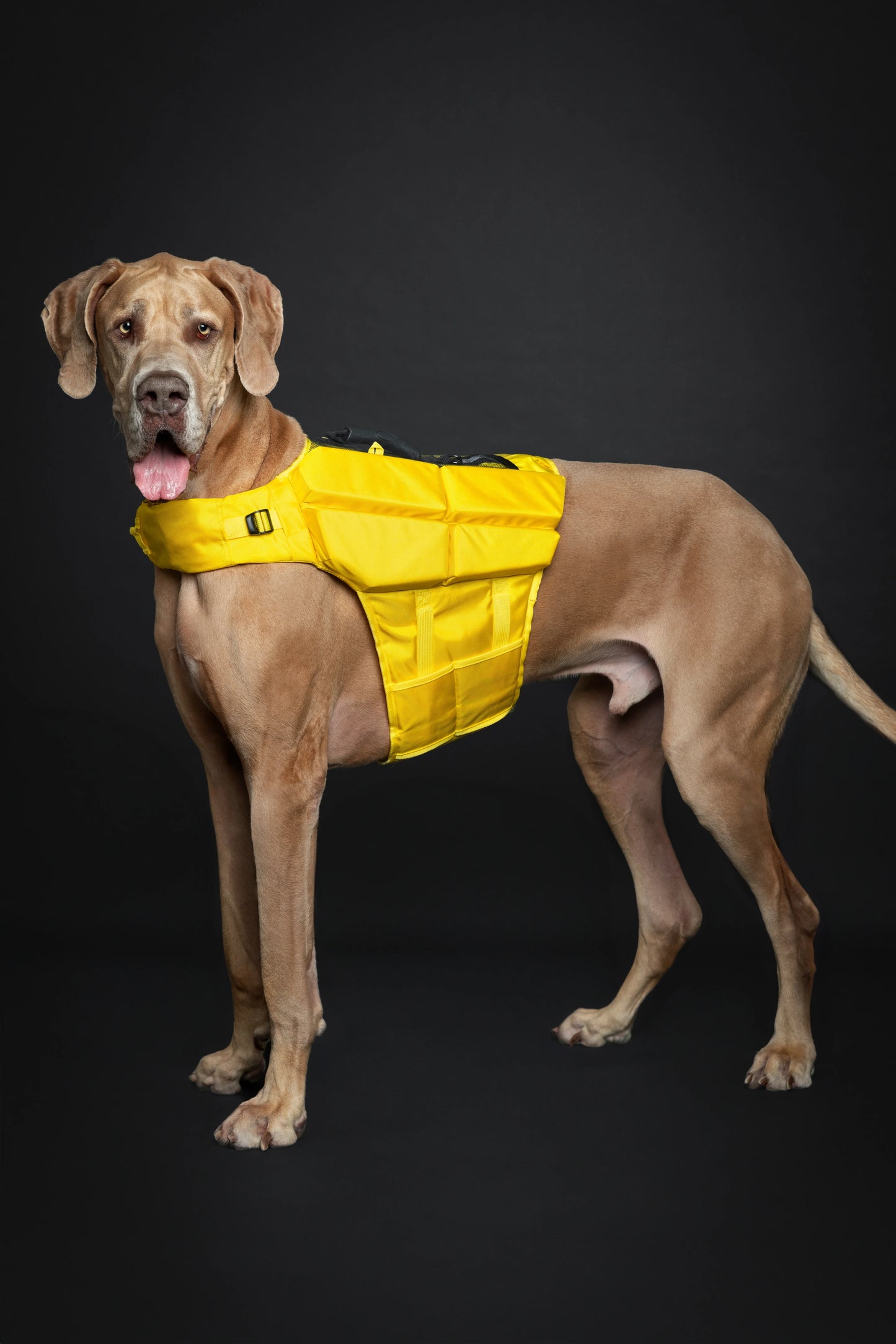 Human Standards Dog Lifejacket Design with 4x Foam for Maximum Buoyancy, Stability & Comfort - Yellow