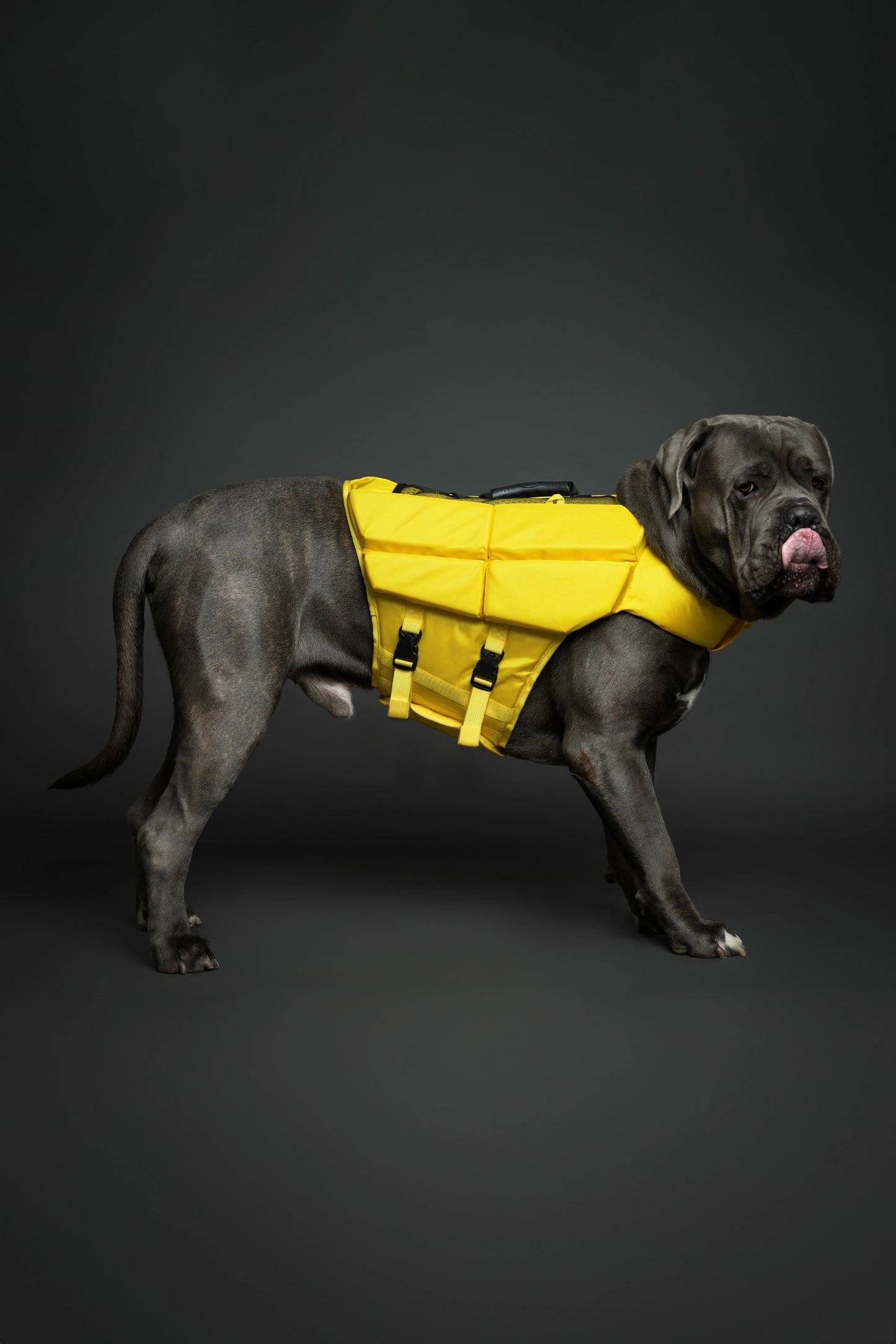 Human Standards Dog Lifejacket Design with 4x Foam for Maximum Buoyancy, Stability & Comfort - Yellow