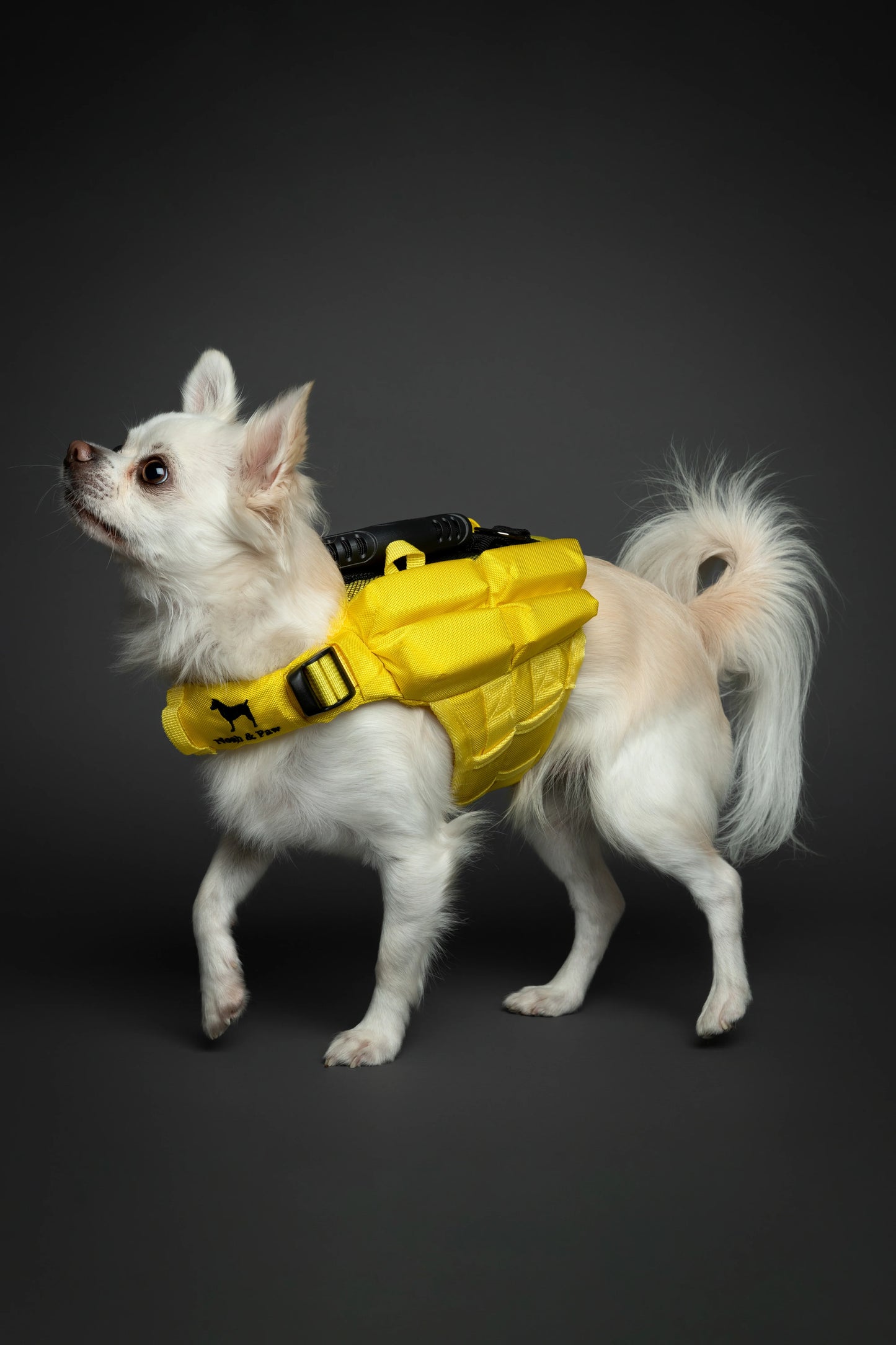Human Standards Dog Lifejacket Design with 4x Foam for Maximum Buoyancy, Stability & Comfort - Yellow