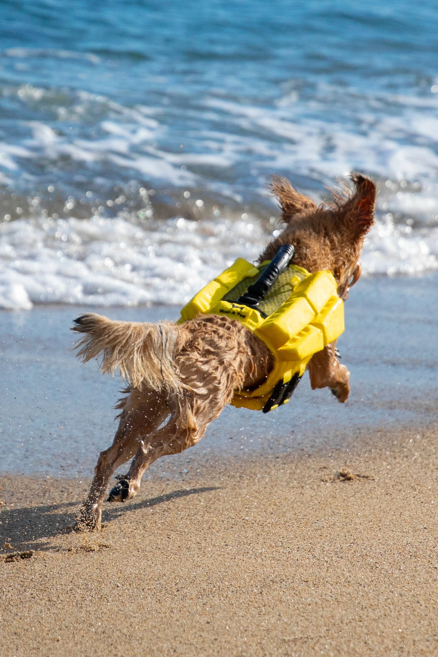Human Standards Dog Lifejacket Design with 4x Foam for Maximum Buoyancy, Stability & Comfort - Yellow