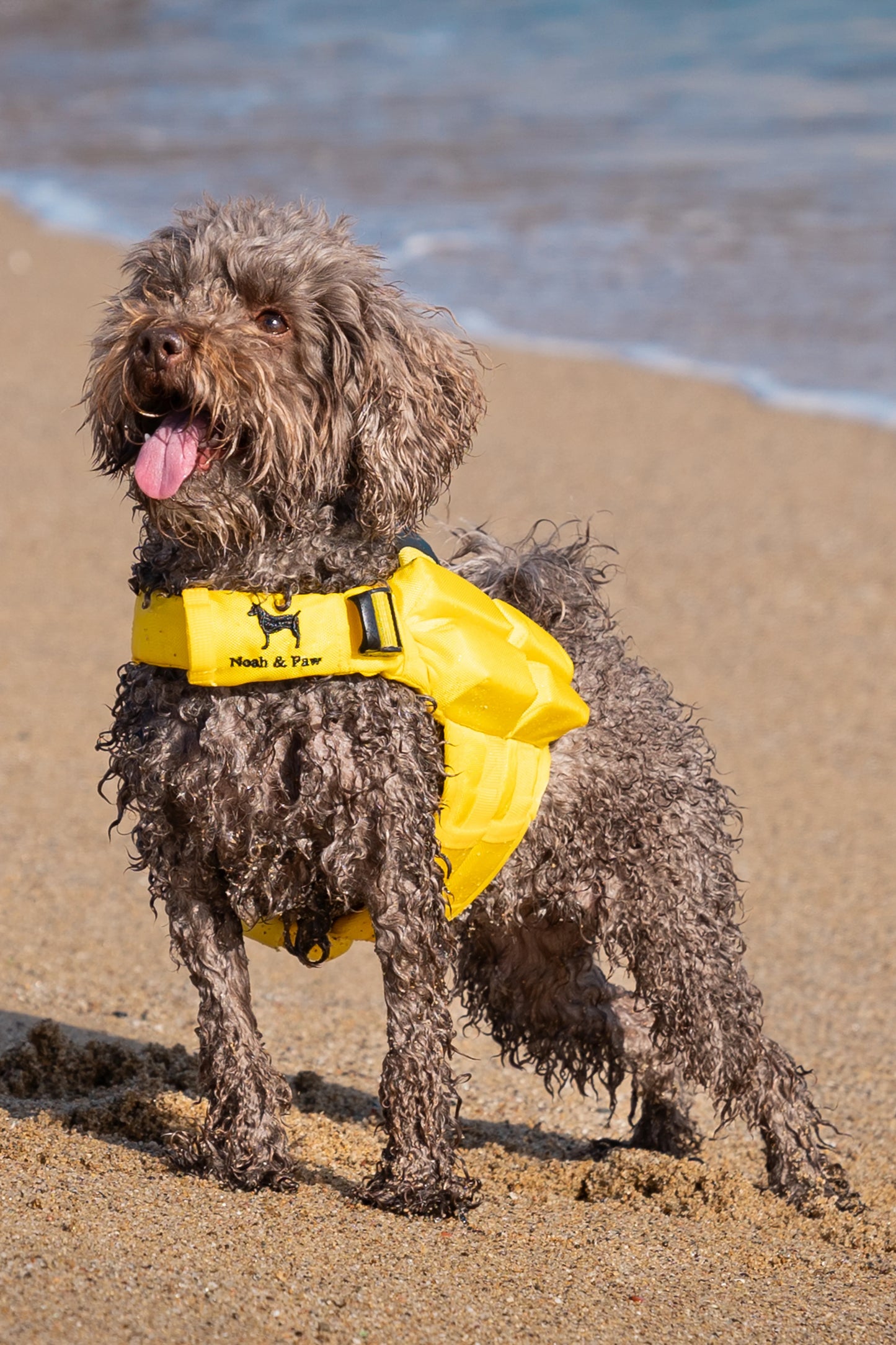 Human Standards Dog Lifejacket Design with 4x Foam for Maximum Buoyancy, Stability & Comfort - Yellow