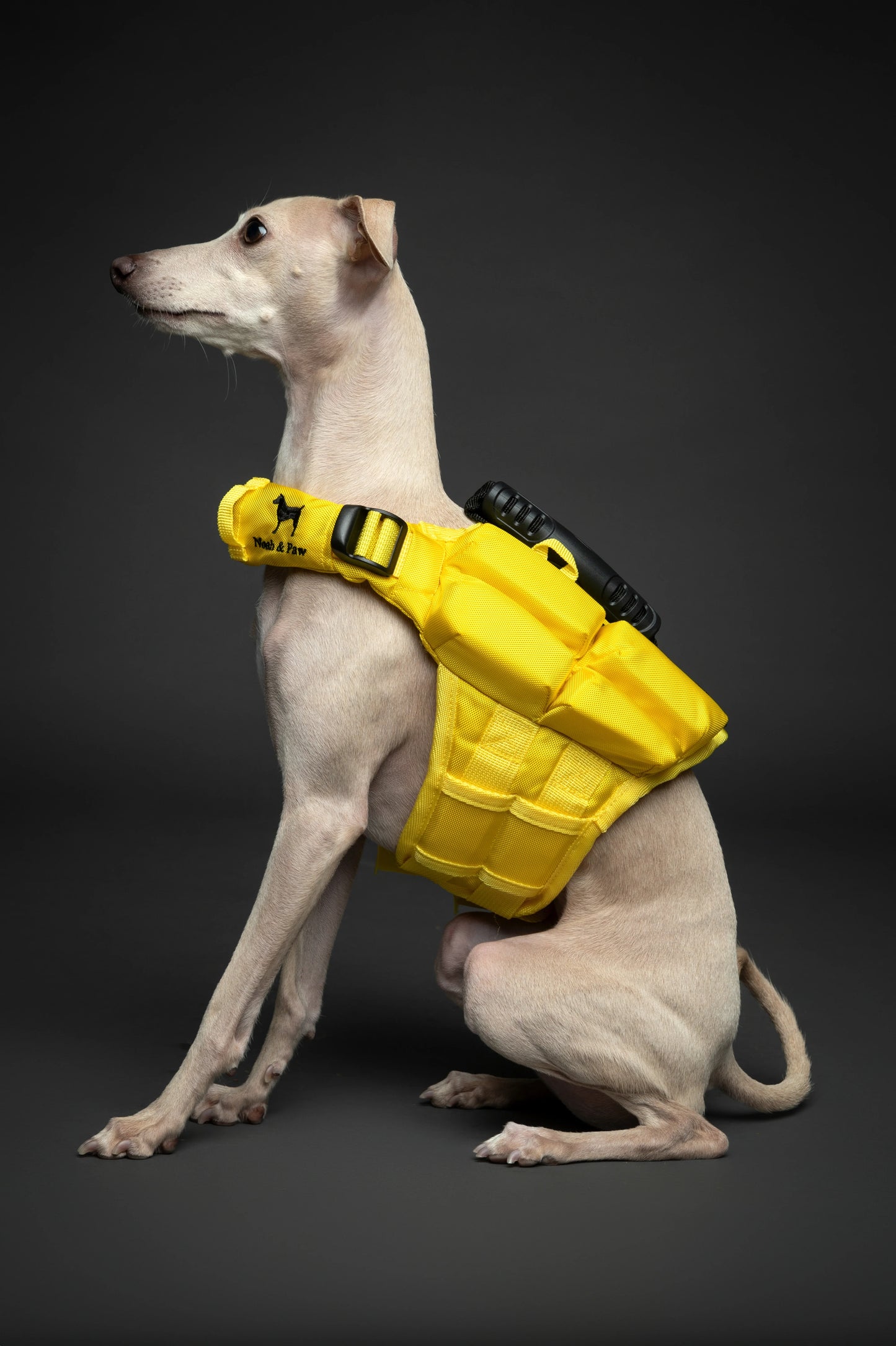 Human Standards Dog Lifejacket Design with 4x Foam for Maximum Buoyancy, Stability & Comfort - Yellow