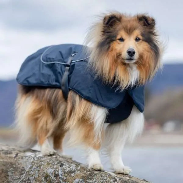 Luxury Dog Winter Coat | Navy