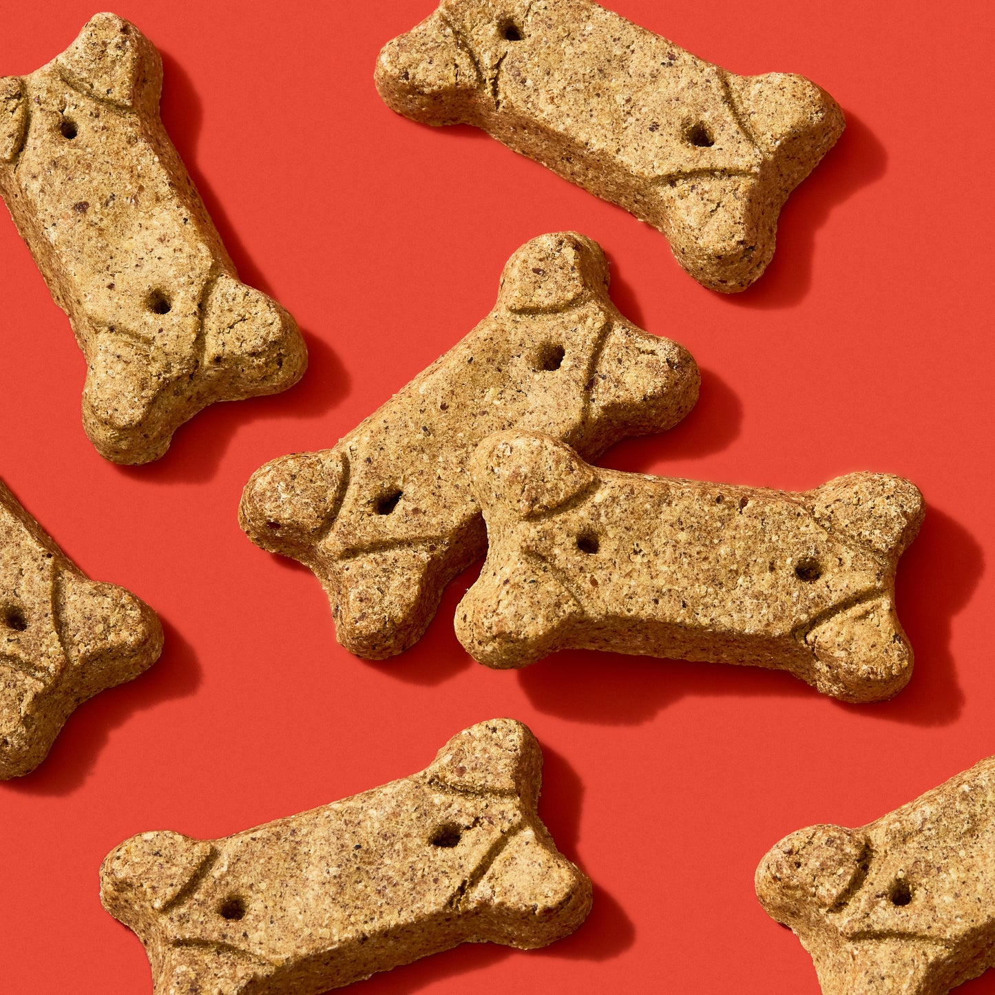 Brutus Broth Biscuits - Pork & Apple