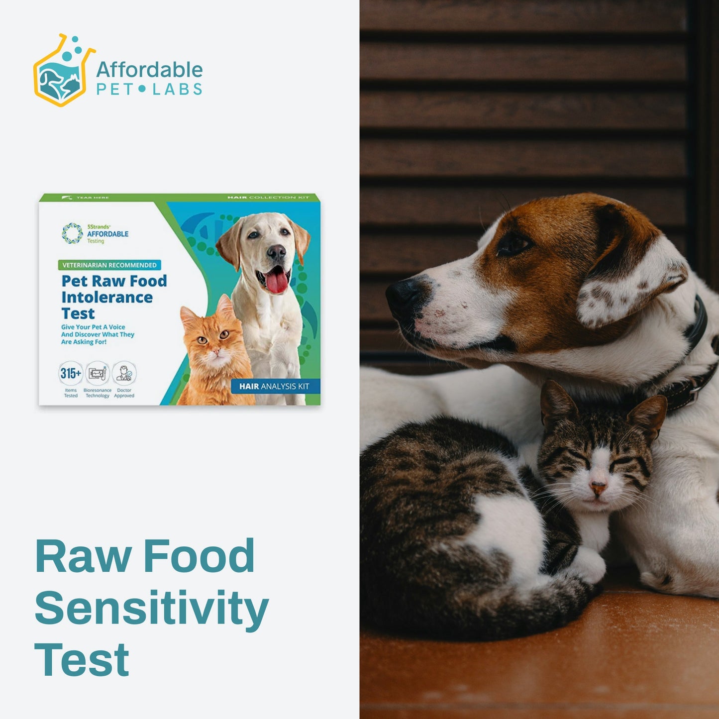 Easy Home Kit: Affordable Pet Labs DIY Raw Food Sensitivity Test πΆπ±π± - Discover Your Pet's Diet Needs