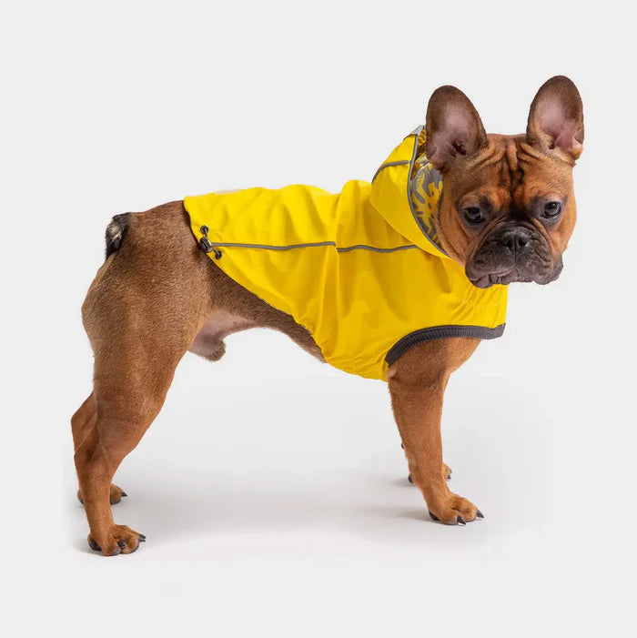 Reversible Dog Raincoat | Yellow Leaves