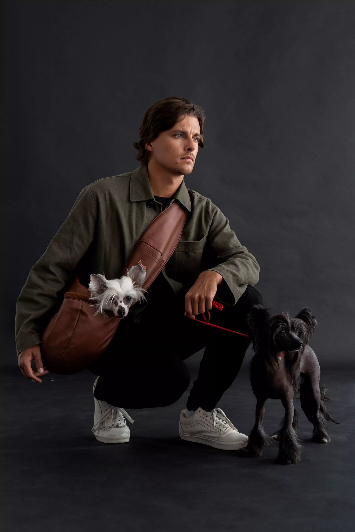 Vegan Leather Pet sling Carrier 3x Safety