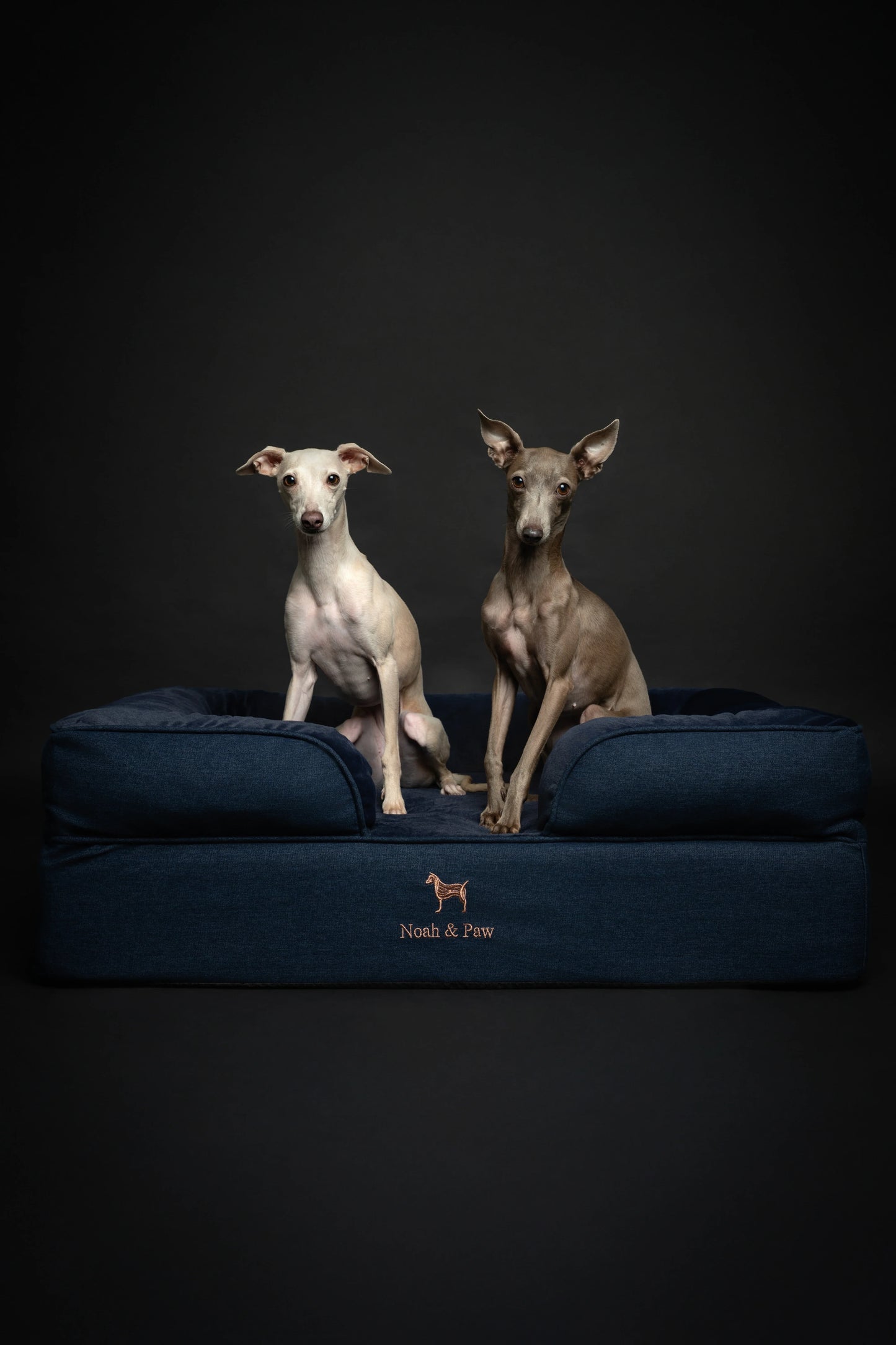 Denim Orthopedic Pet Bed, Memory Foam, Infused with Cooling Gel