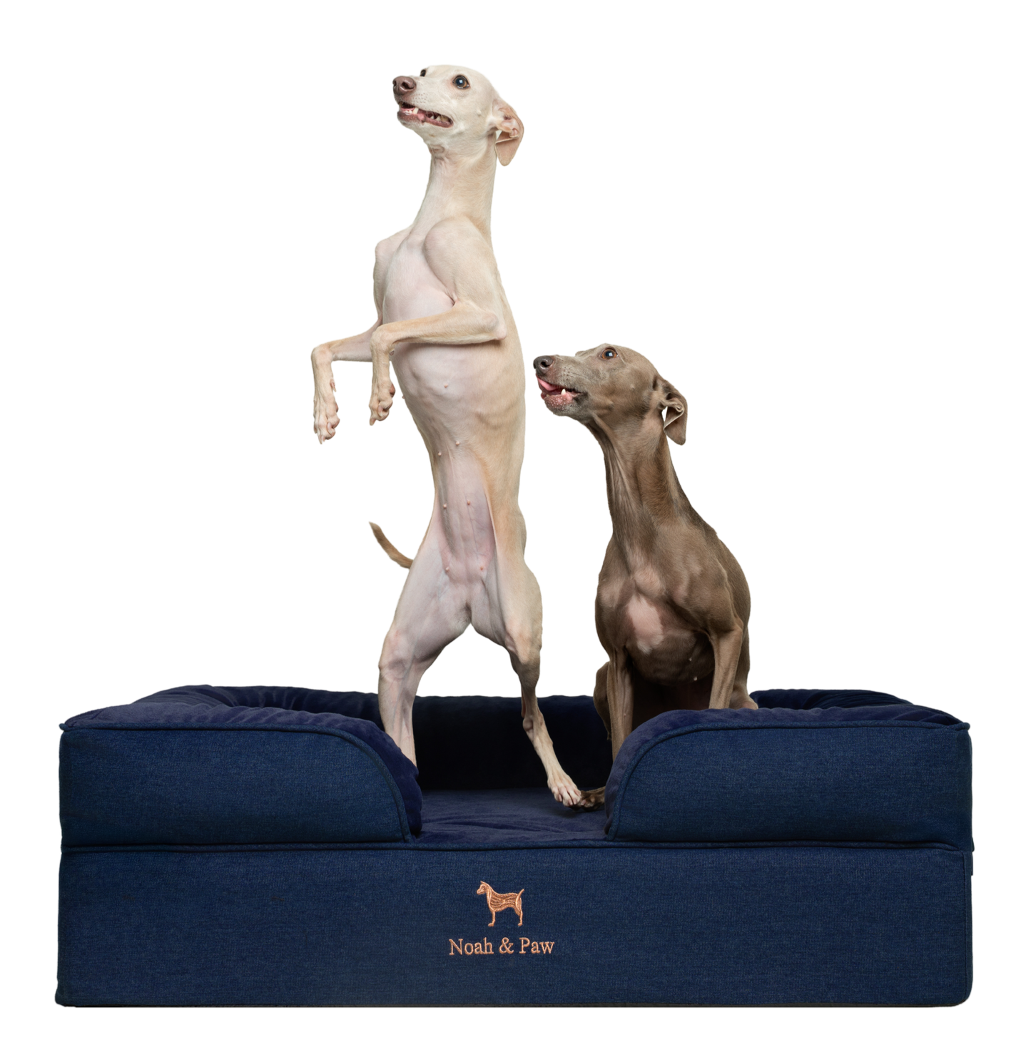 Denim, Orthopedic Pet Bed, Sofa Style - Dark Blue - L