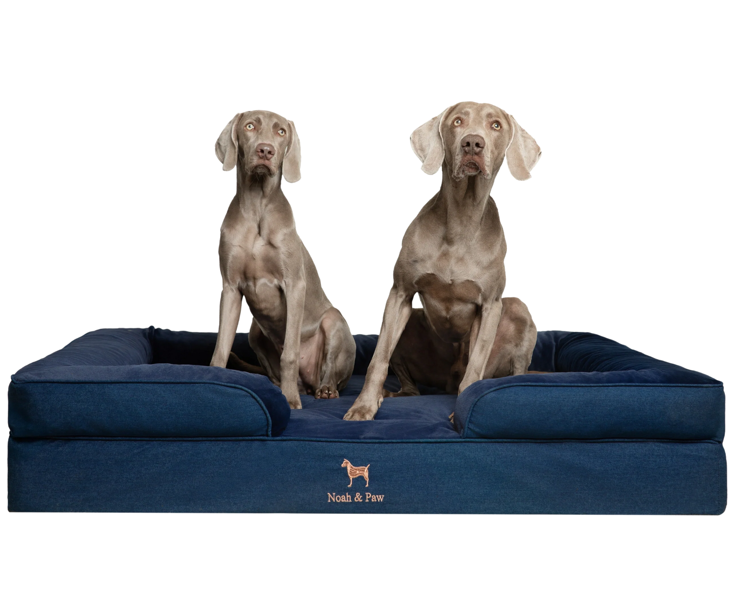 Denim, Orthopedic Pet Bed, Sofa Style - Dark Blue - XXL