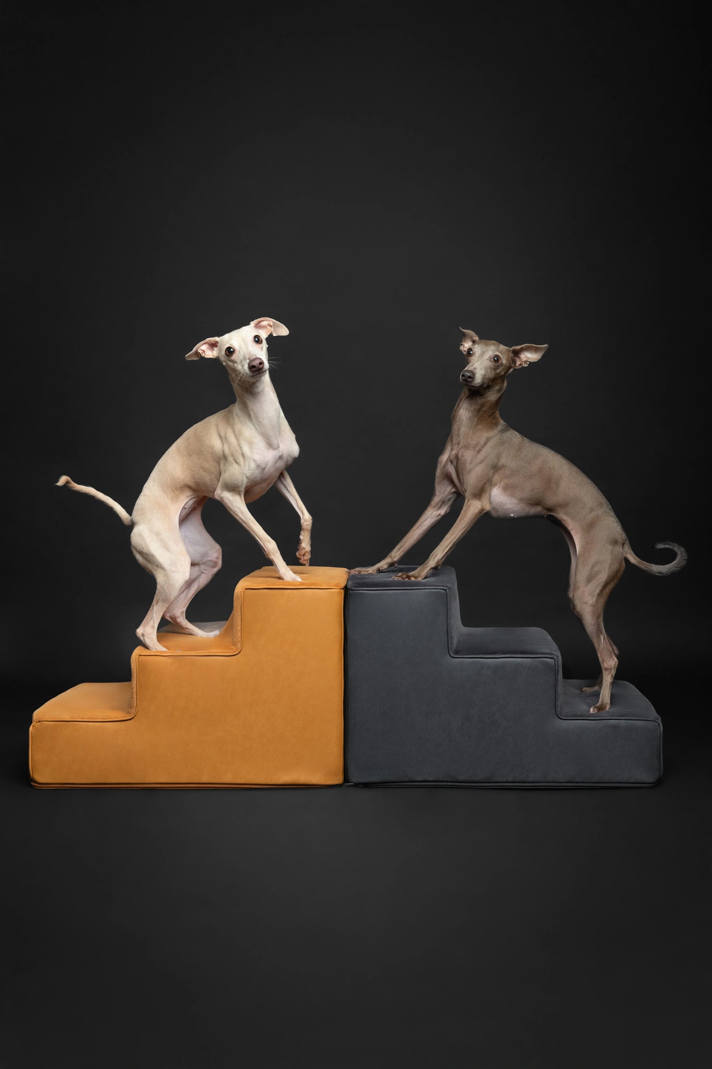 Luxury Dog Stairs for Bed, Faux Leather Collection, Black