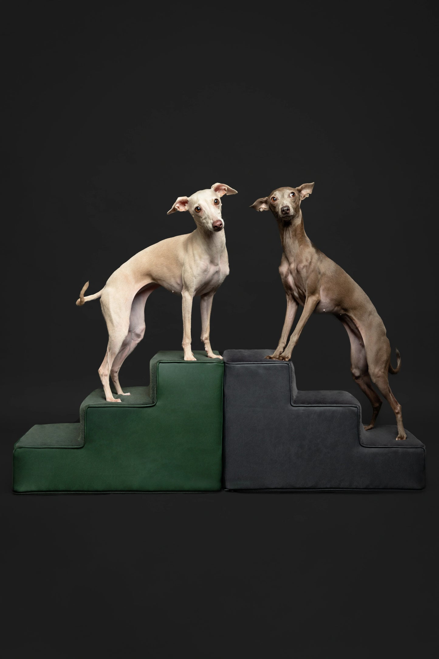 Luxury Dog Stairs for Bed, Faux Leather Collection, Black
