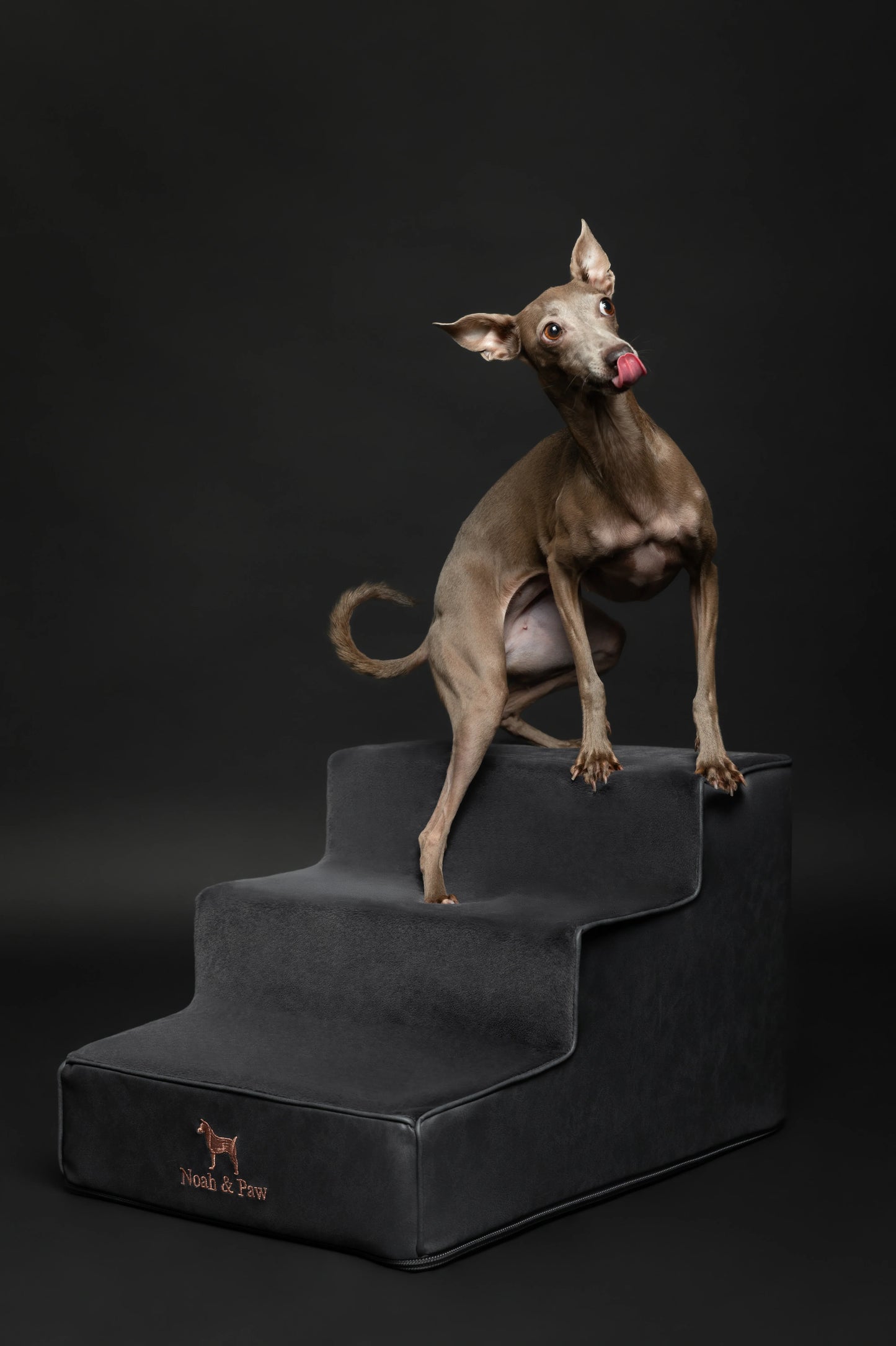 Luxury Dog Stairs for Bed, Faux Leather Collection, Black