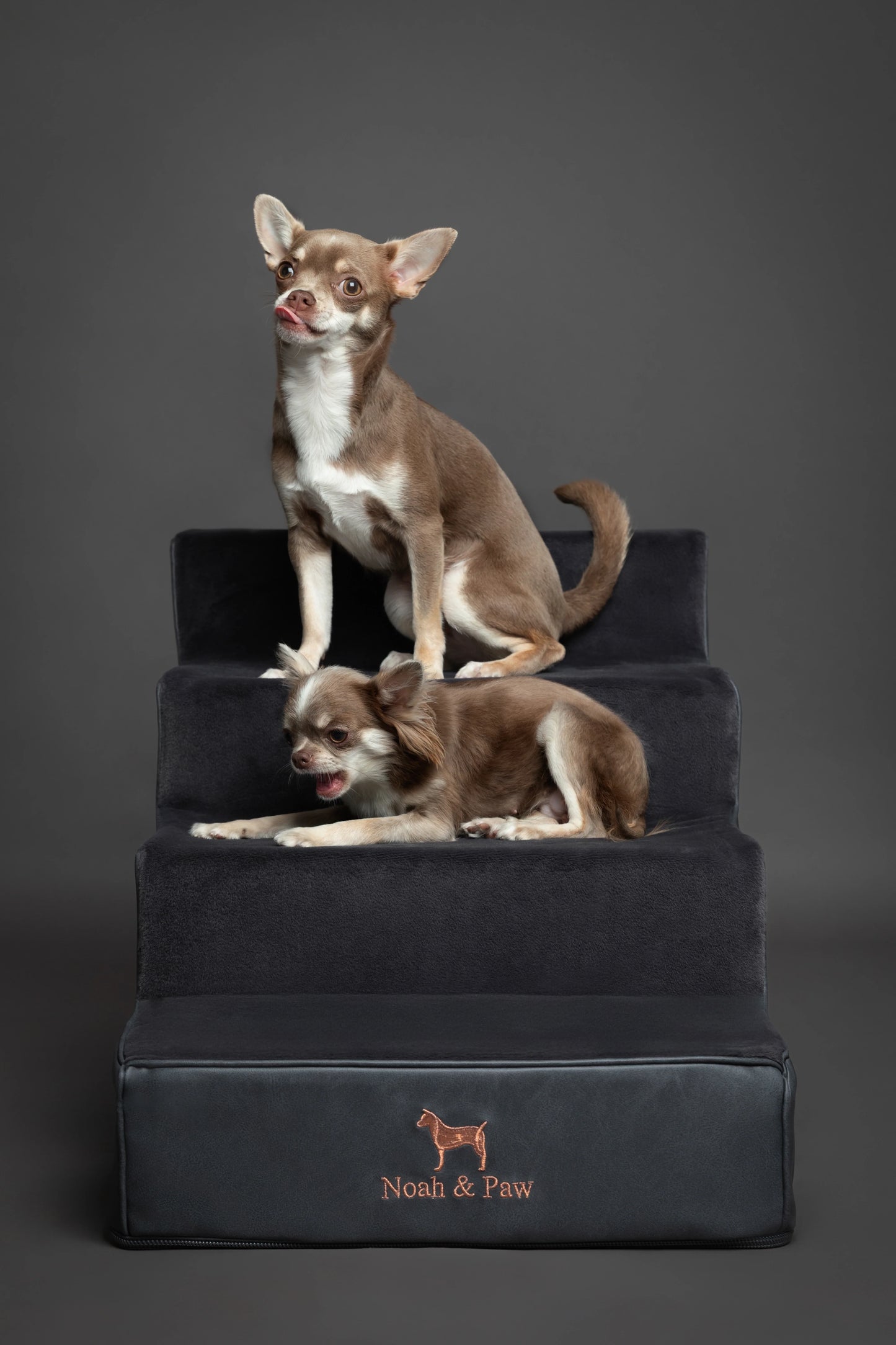 Luxury Dog Stairs for Bed, Faux Leather Collection, Black