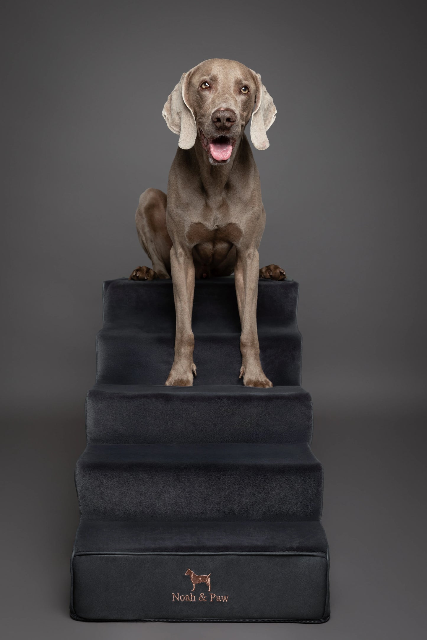 Luxury Dog Stairs for Bed, Faux Leather Collection, Black