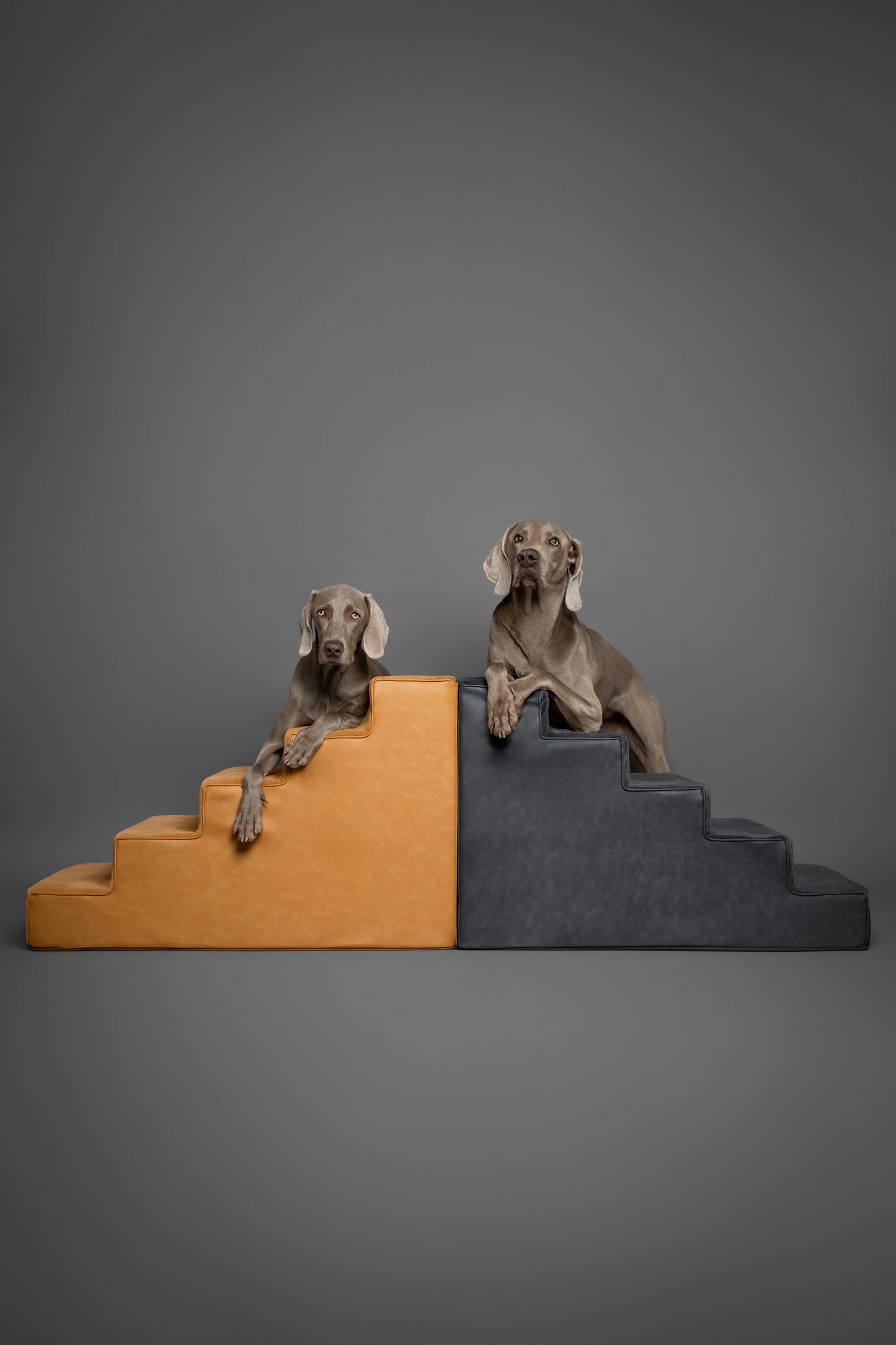 Luxury Dog Stairs for Bed, Faux Leather Collection, Black