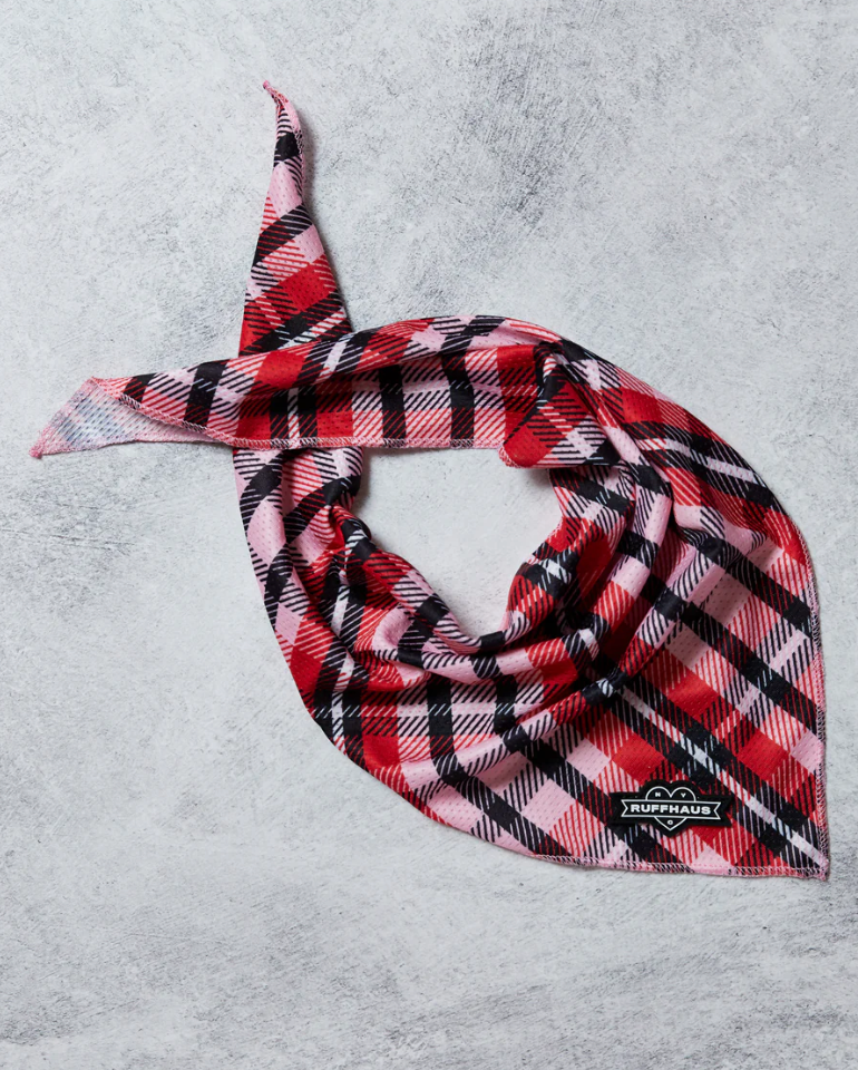 Puppy Love Plaid Cooling Bandana