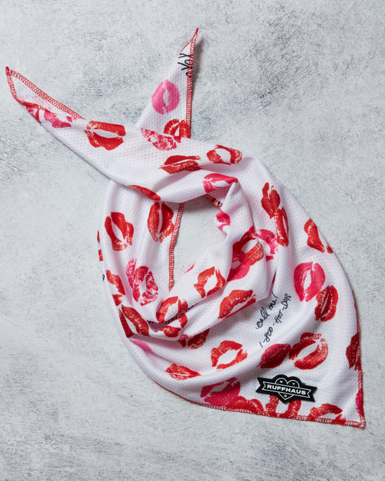 Smooch My Pooch Cooling Bandana