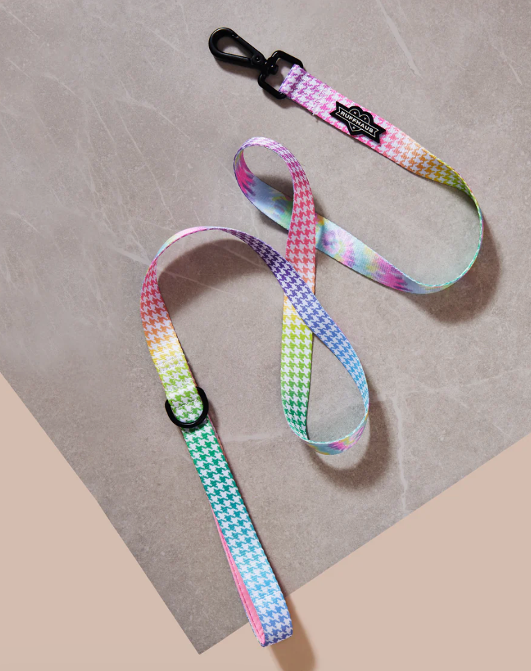 Rainbowtooth Dog Leash