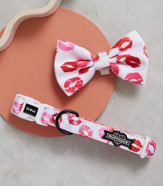 Smooch My Pooch Dog Collar & Bowtie