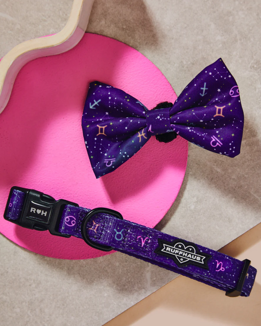 Zodiac Drip Dog Collar & Bowtie