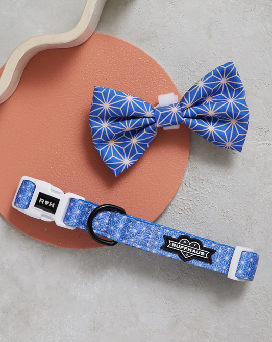 Asanoha Dog Collar & Bowtie