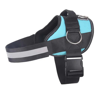 Teal Ocean Dog Joyride Basic Essential Harness