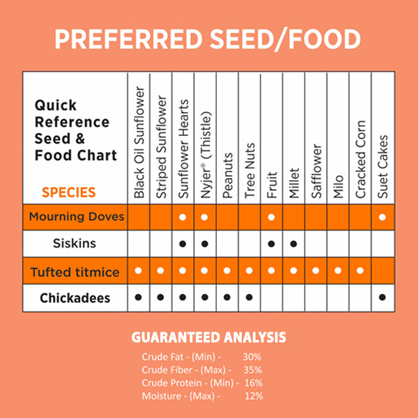 Nyjer/Thistle Seeds Wild Bird Food - 5 Pounds I No Grow Seed I Bird Seed for Wild Birds