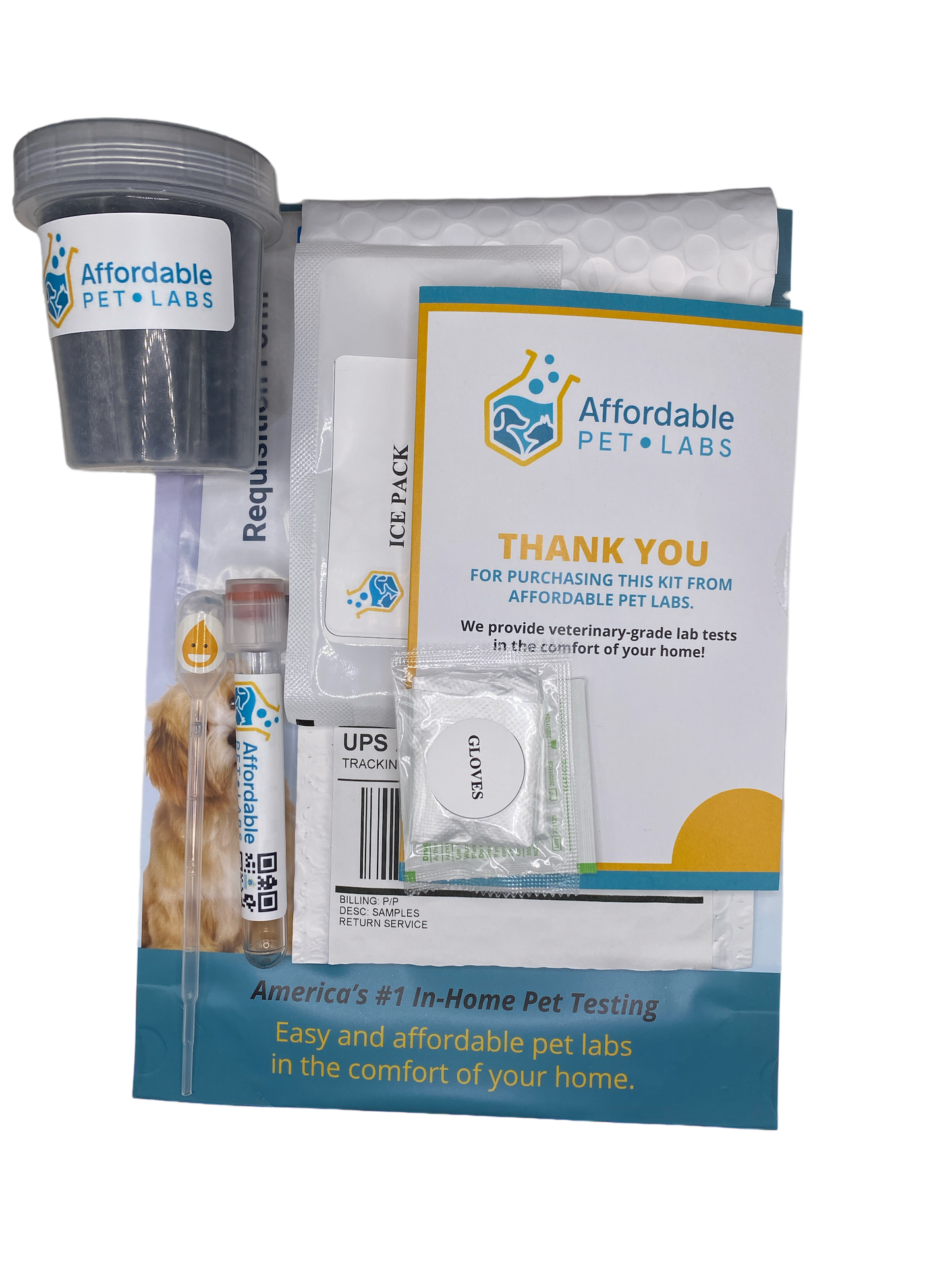 Easy Home Kit: Affordable Pet Labs Urine Culture For Cats
