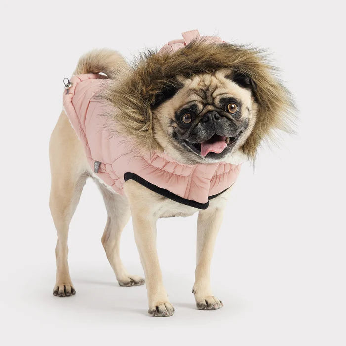 Urban Dog Parka | Pink