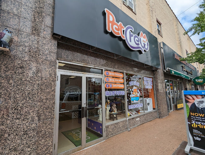 Pet Crew Pet Shop